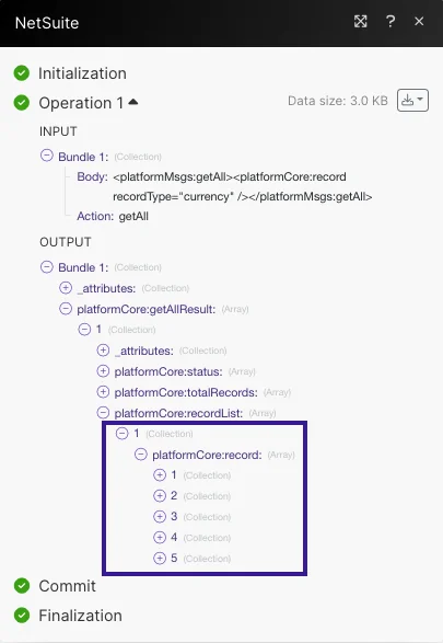 NetSuite-17.png