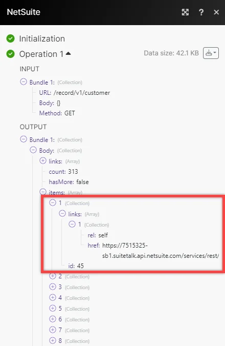 NetSuite_REST_API_Call_results.png