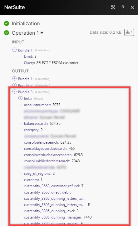 NetSuite_Query_2_updated.png
