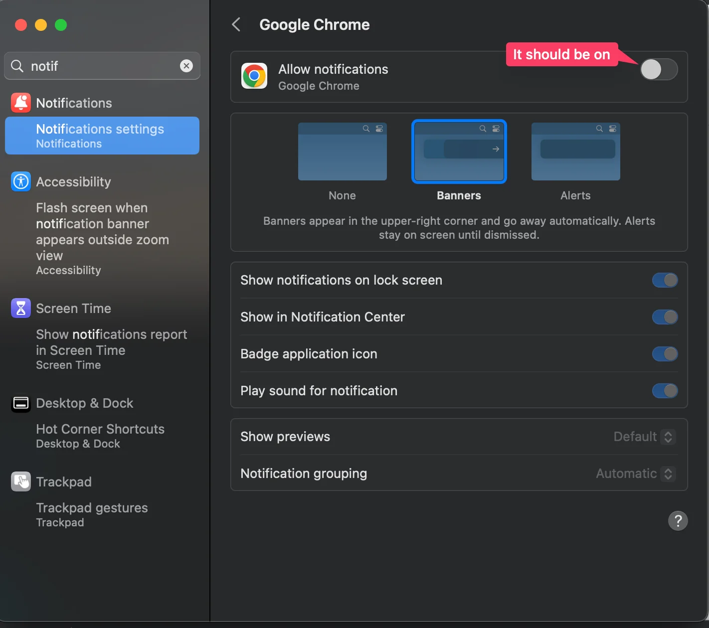 mac_googlechrome.png
